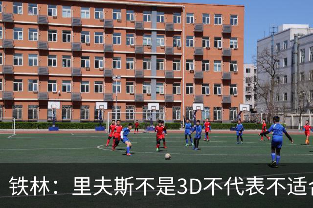 铁林：里夫斯不是3D不代表不适合东契奇 欧文也不是防守大闸